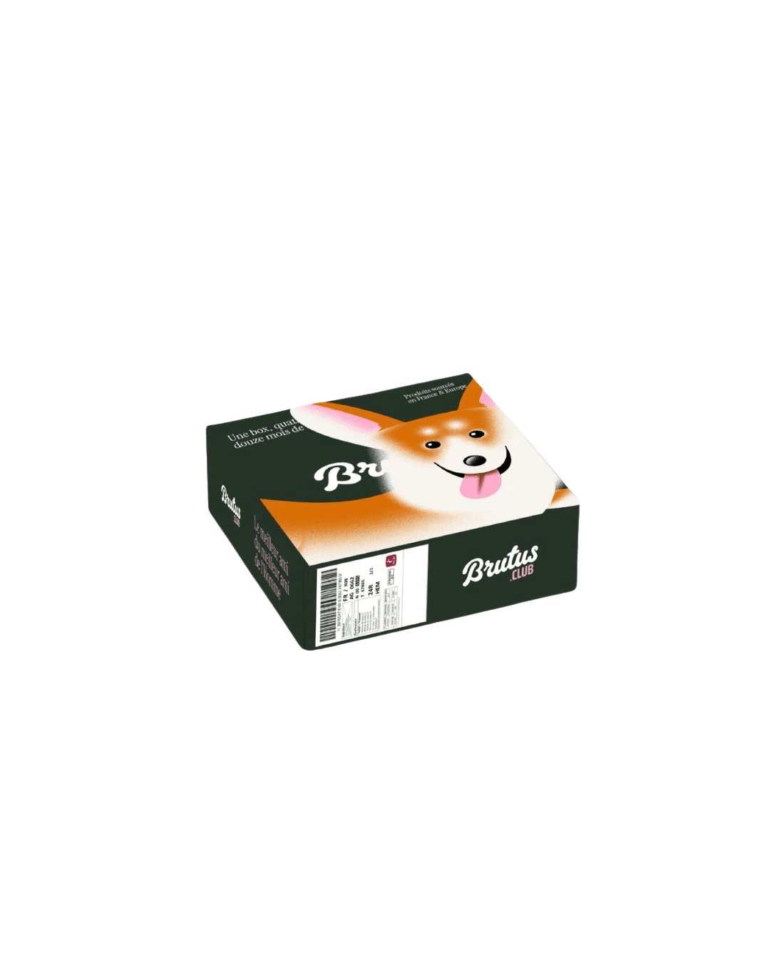 Box Brutus.club